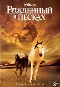     The Young Black Stallion / (2003) online 