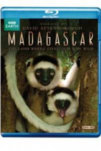   (-) Madagascar / (2011 (1 )) online 