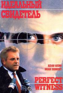    () Perfect Witness / (1989) online 